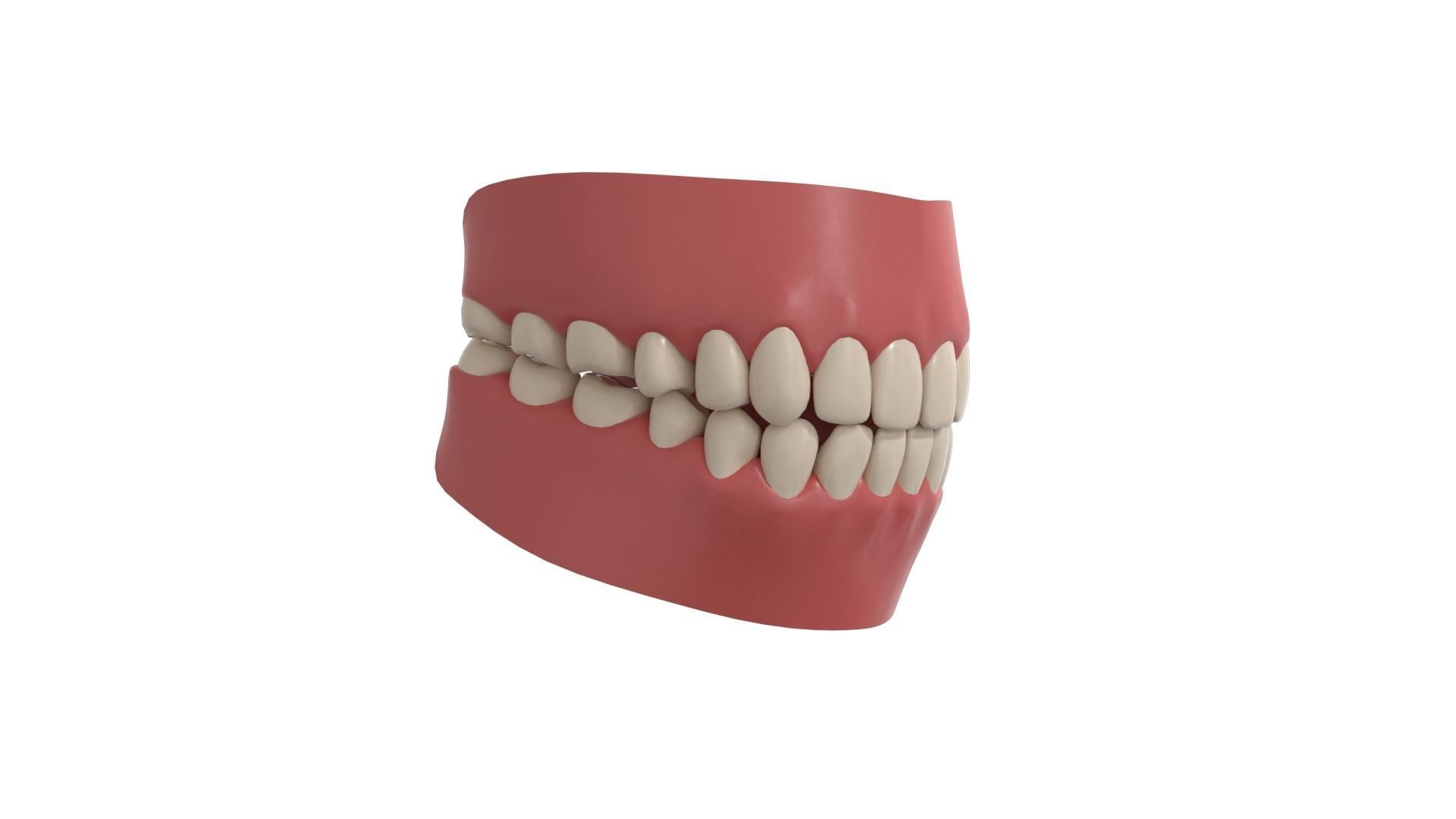 teeth 3D model_5