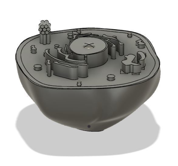 Animal cell 3D model_17