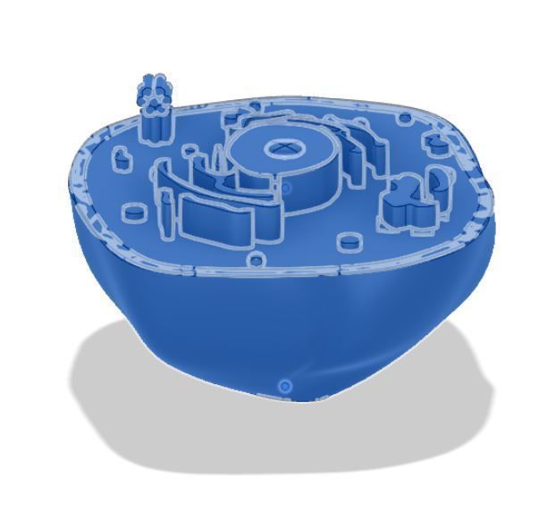 Animal cell 3D model_19