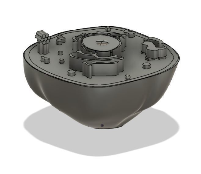 Animal cell 3D model_14