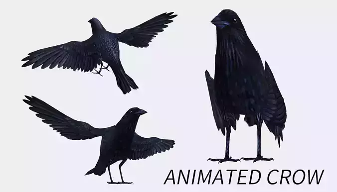 animated low poly crow Low-poly 3D model
