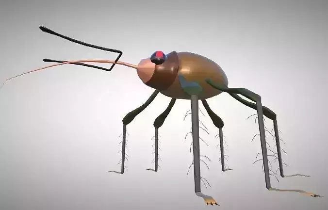 Insect bug with long legs 3D model
