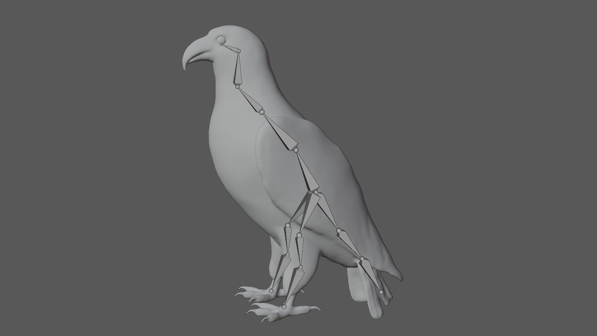 Bald Eagle Low-poly 3D model_8