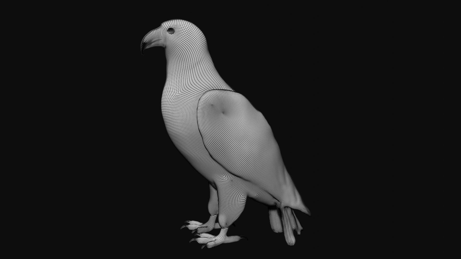 Bald Eagle Low-poly 3D model_9