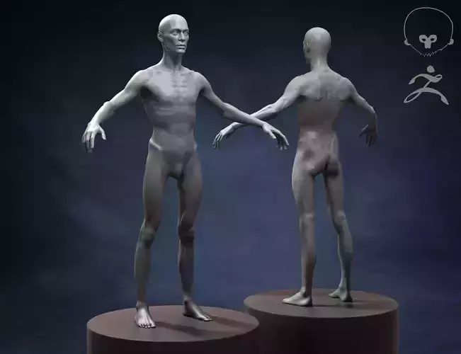 Skinny Man Body Basemesh 3D model