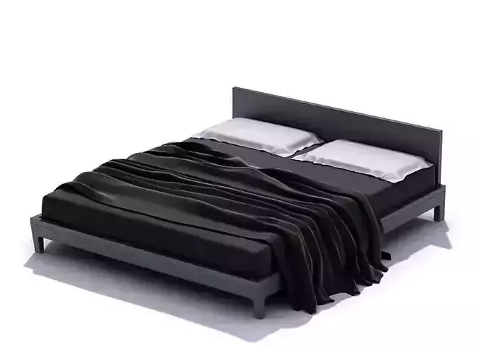 Modern Darck Colored Bed