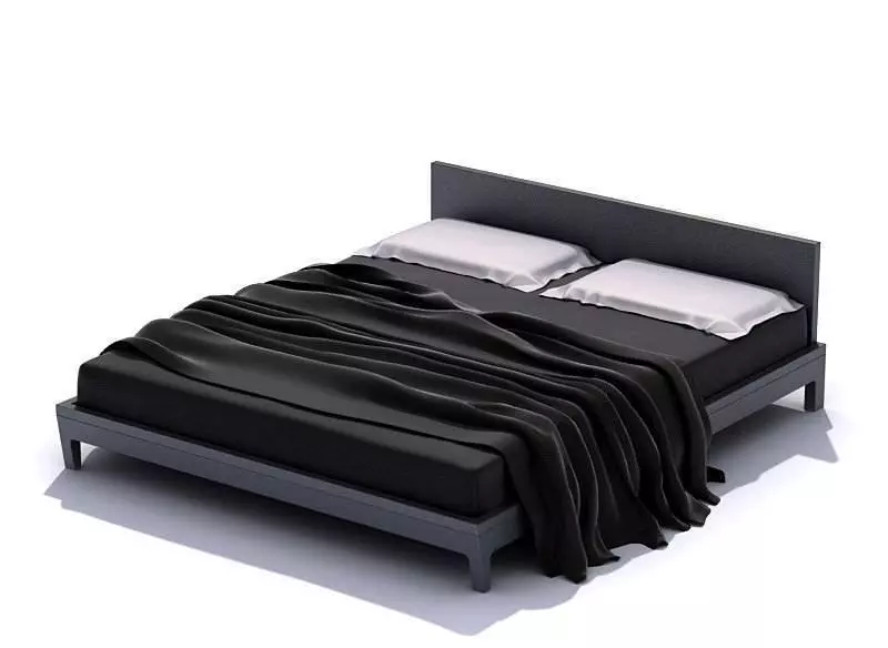 Modern Darck Colored Bed 3D model_0