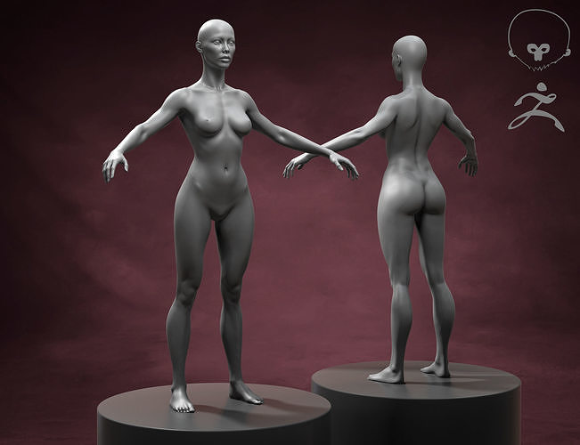 Athletic Woman Body Basemesh  3D model