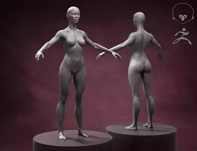 Athletic Woman Body Basemesh  3D model