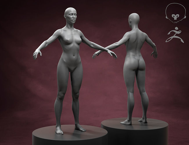 Standard Woman Body Basemesh 3D model
