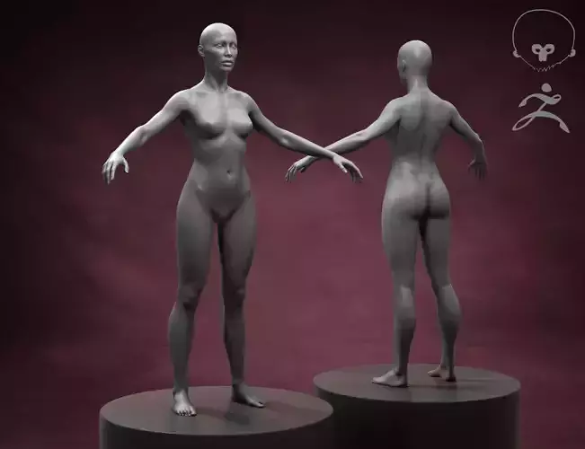 Standard Woman Body Basemesh 3D model