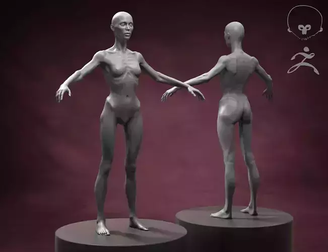 Skinny Woman Body Basemesh 3D model