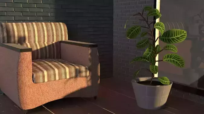 The Chair And The Plant