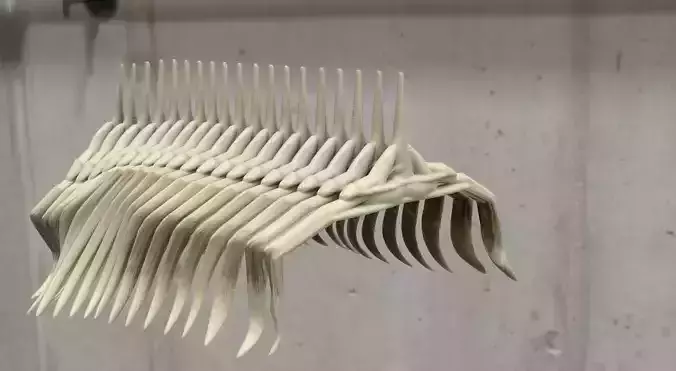 Bone Spine  3D model