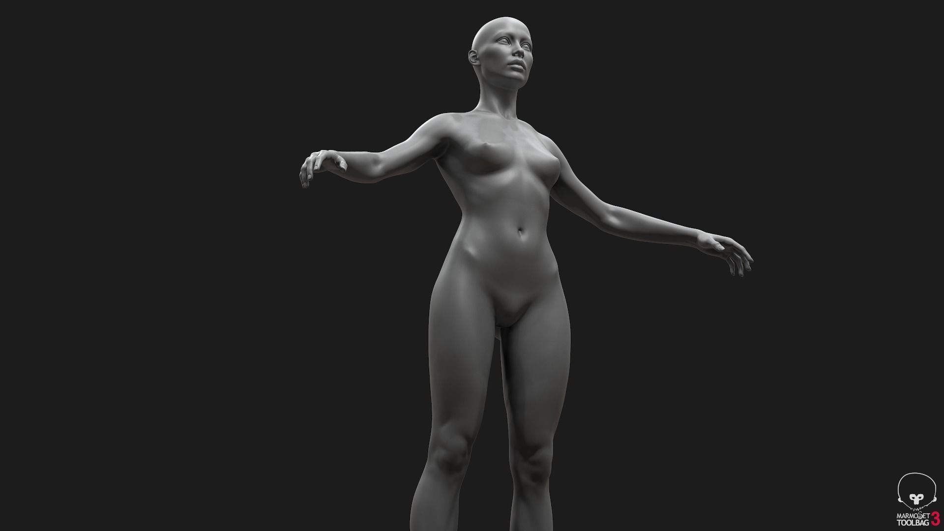 Standard People Pack 3D Model Collection_21