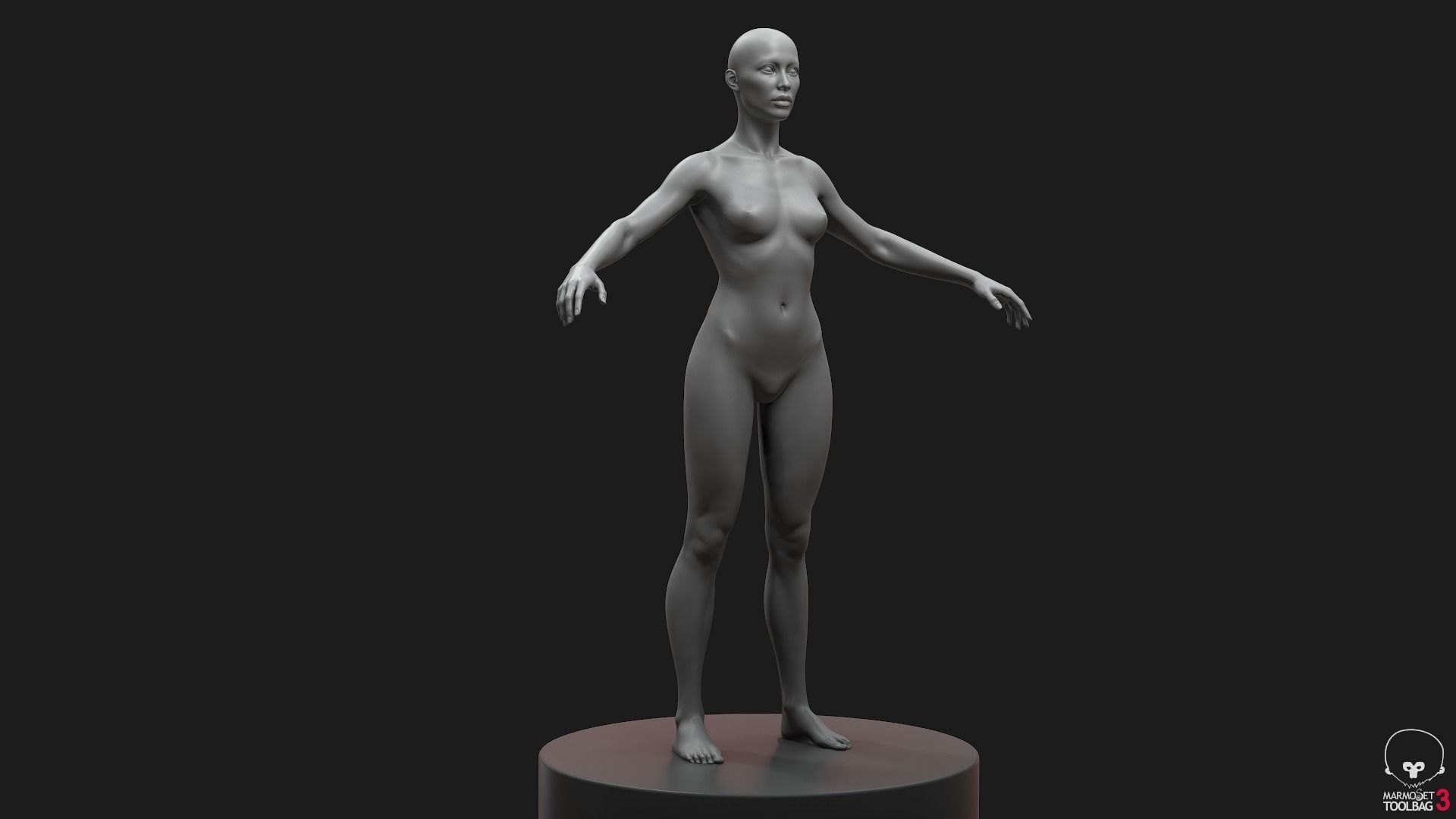 Standard People Pack 3D Model Collection_25