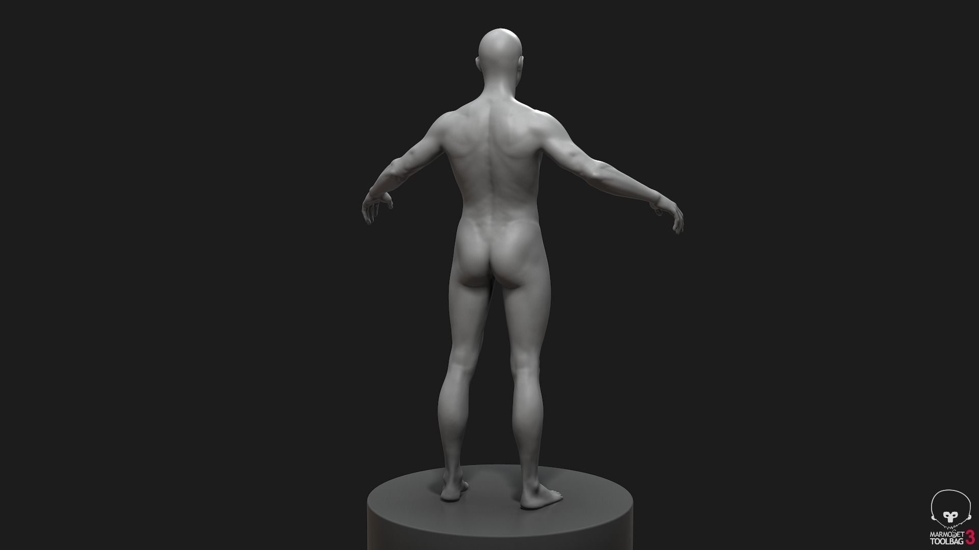 Standard People Pack 3D Model Collection_8