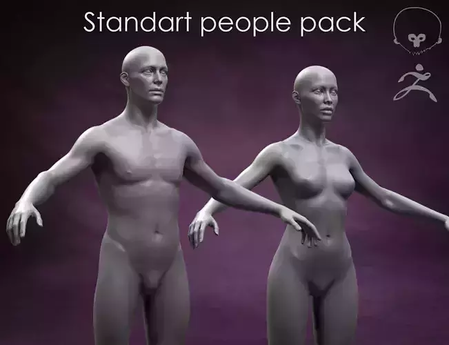 Standard People Pack 3D Model Collection