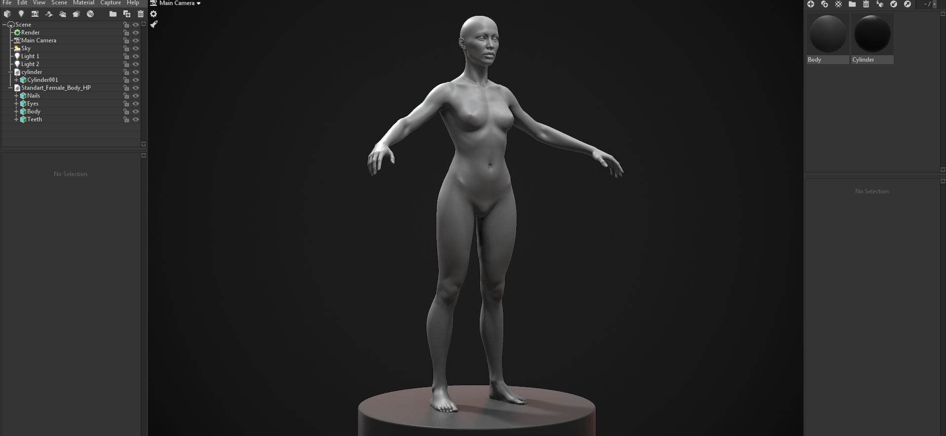 Standard People Pack 3D Model Collection_27