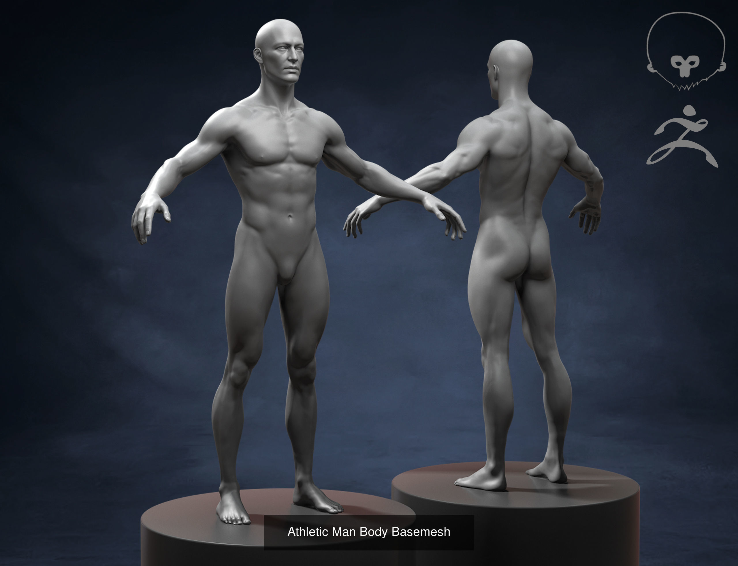 Men Basemeshes Pack 3D Model Collection_1