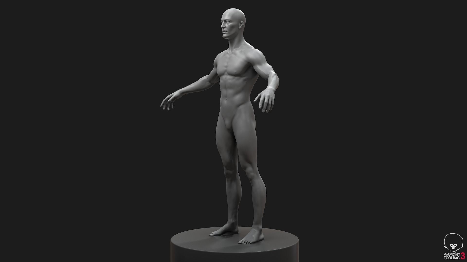 Men Basemeshes Pack 3D Model Collection_8
