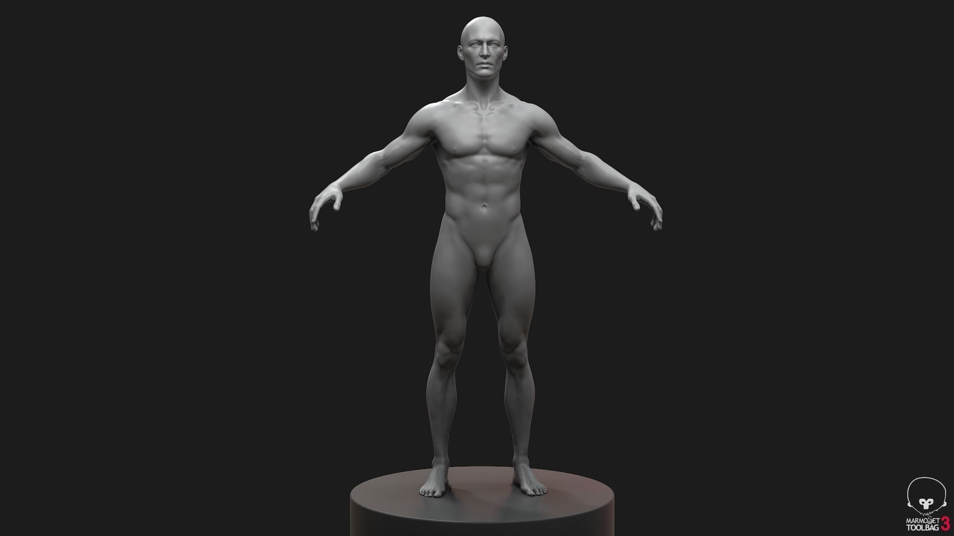 Men Basemeshes Pack 3D Model Collection_7