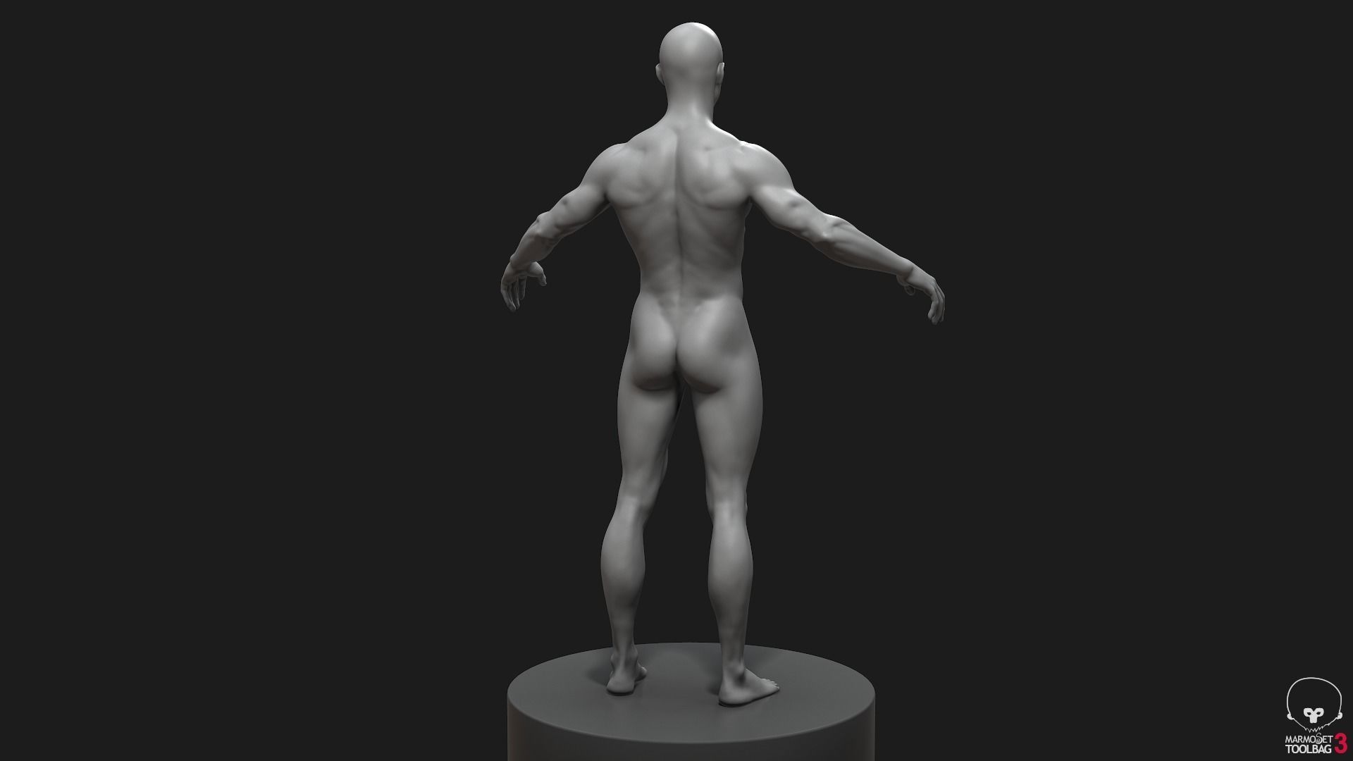 Men Basemeshes Pack 3D Model Collection_10