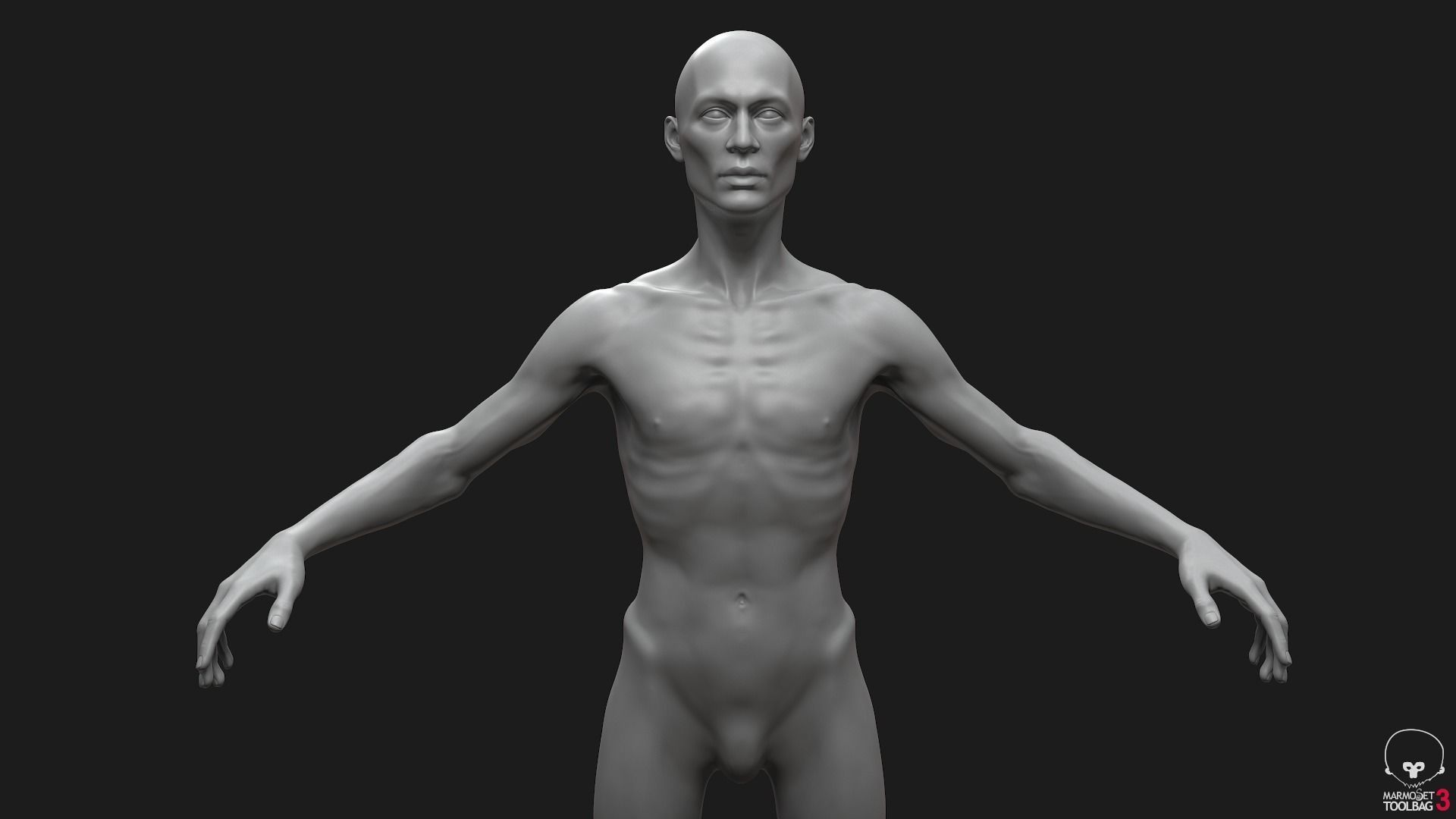 Men Basemeshes Pack 3D Model Collection_53