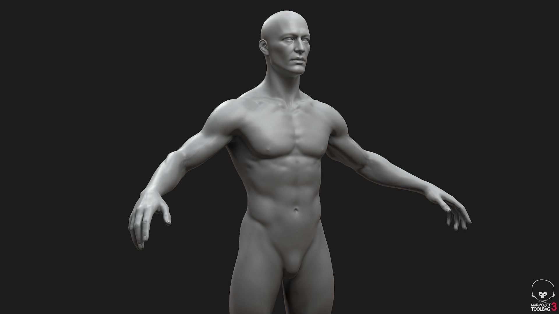 Men Basemeshes Pack 3D Model Collection_5
