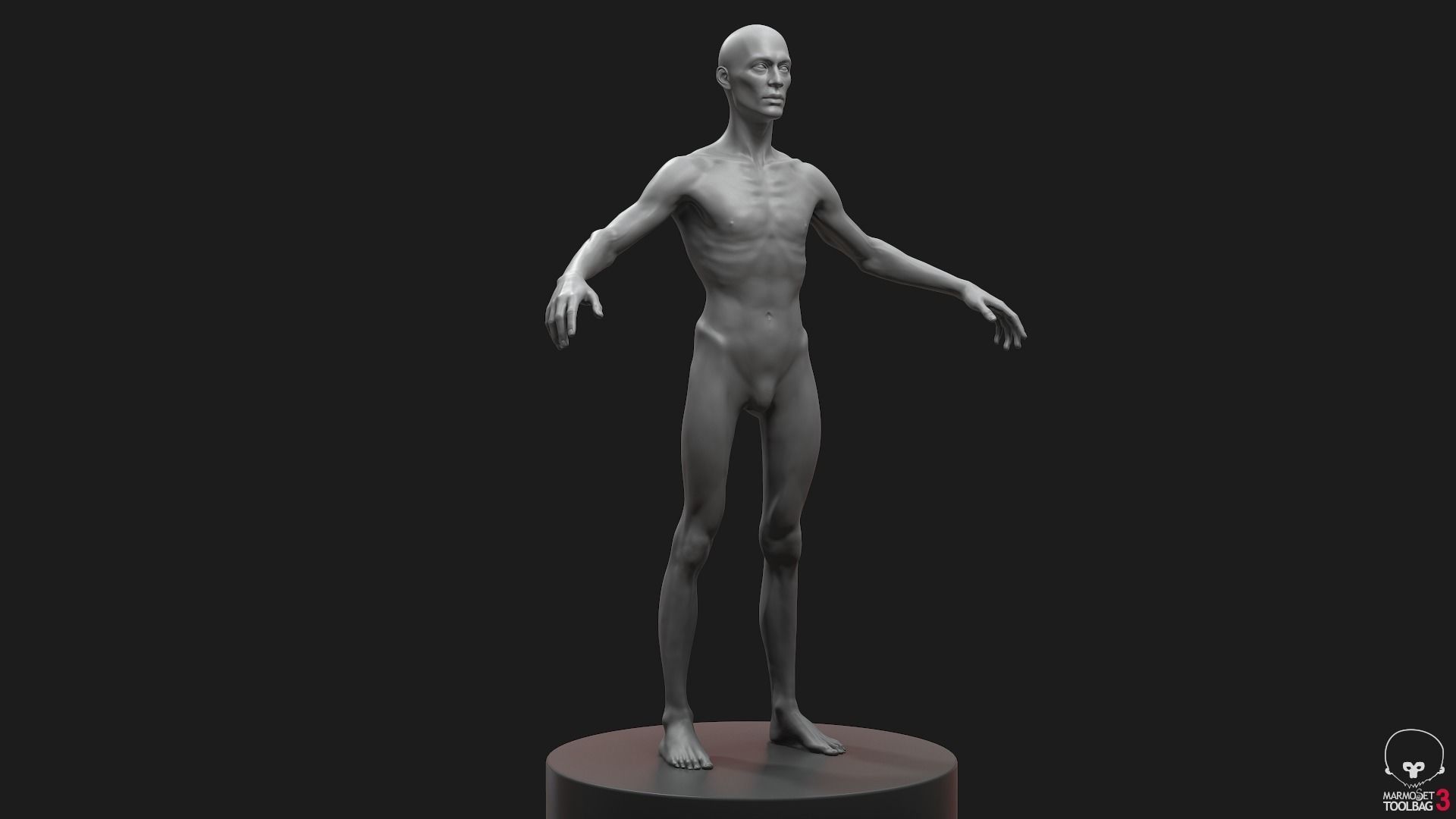 Men Basemeshes Pack 3D Model Collection_47