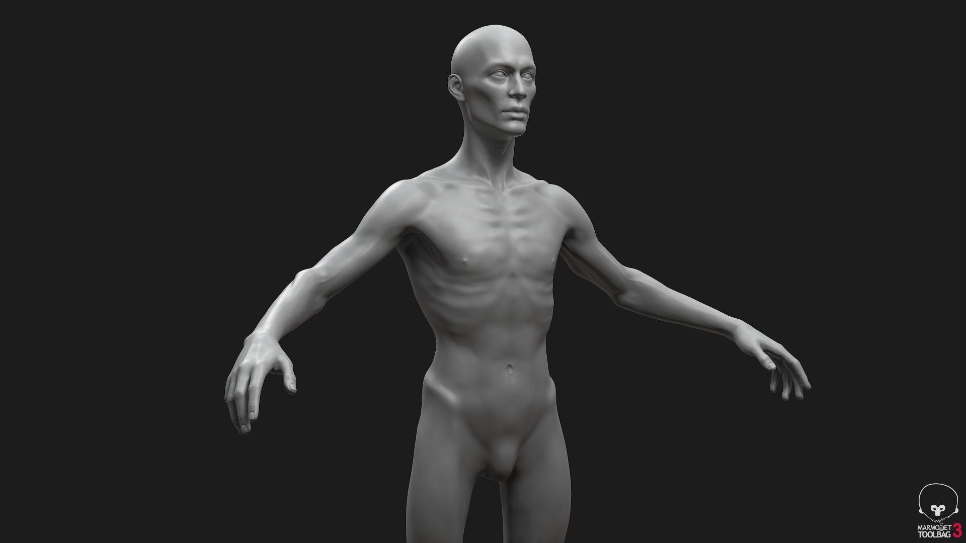 Men Basemeshes Pack 3D Model Collection_46