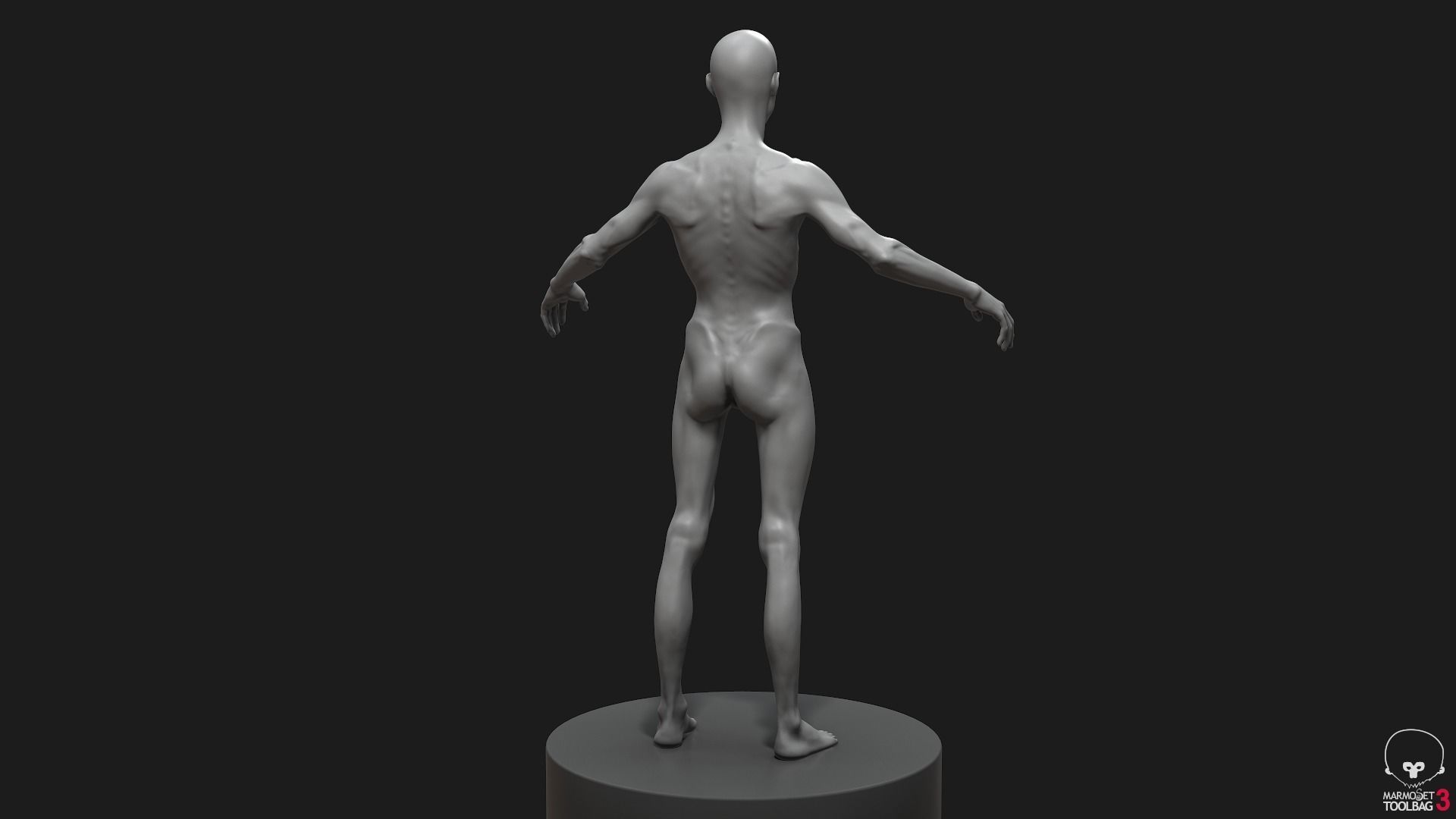 Men Basemeshes Pack 3D Model Collection_51