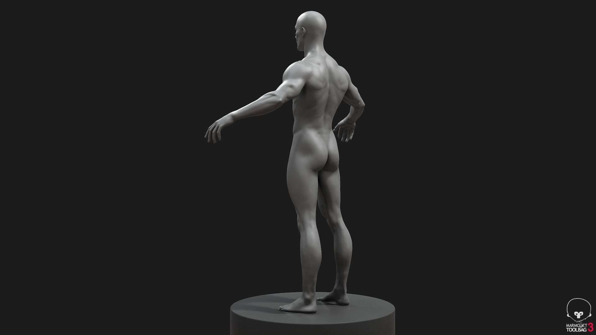 Men Basemeshes Pack 3D Model Collection_9