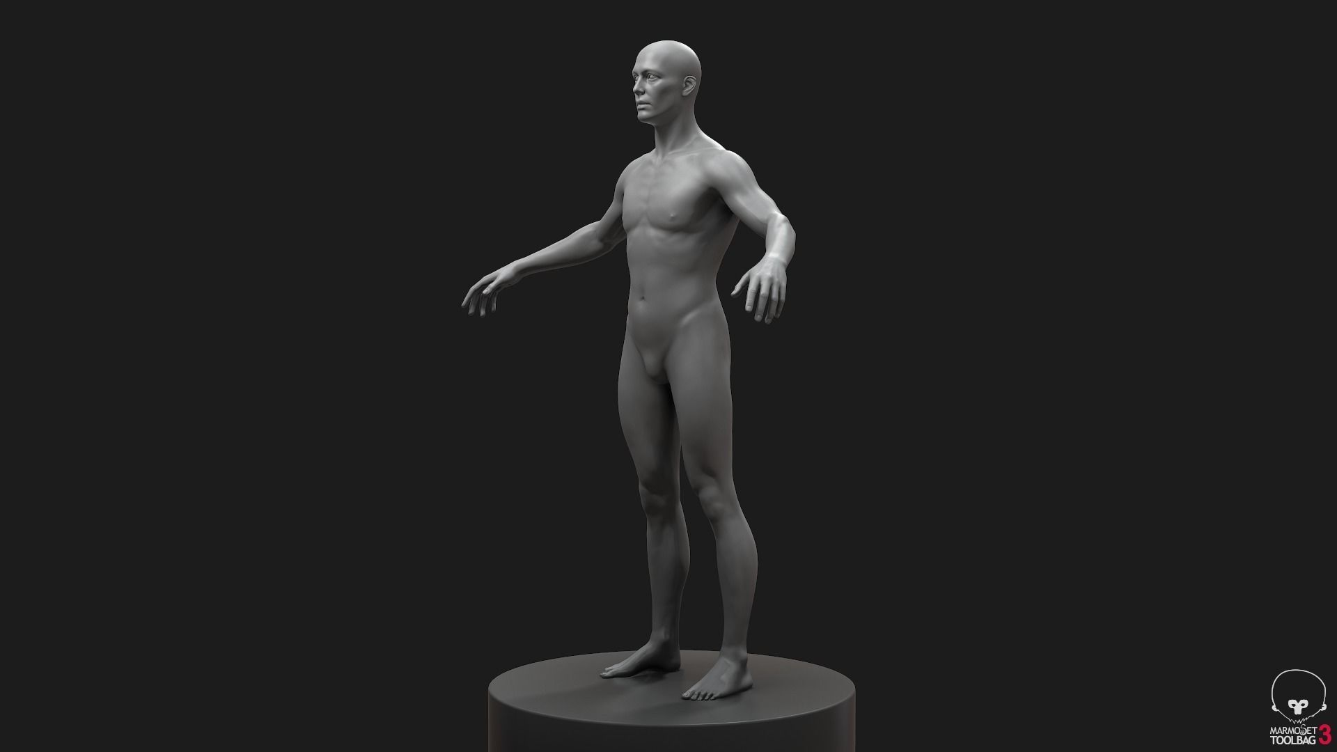 Men Basemeshes Pack 3D Model Collection_23
