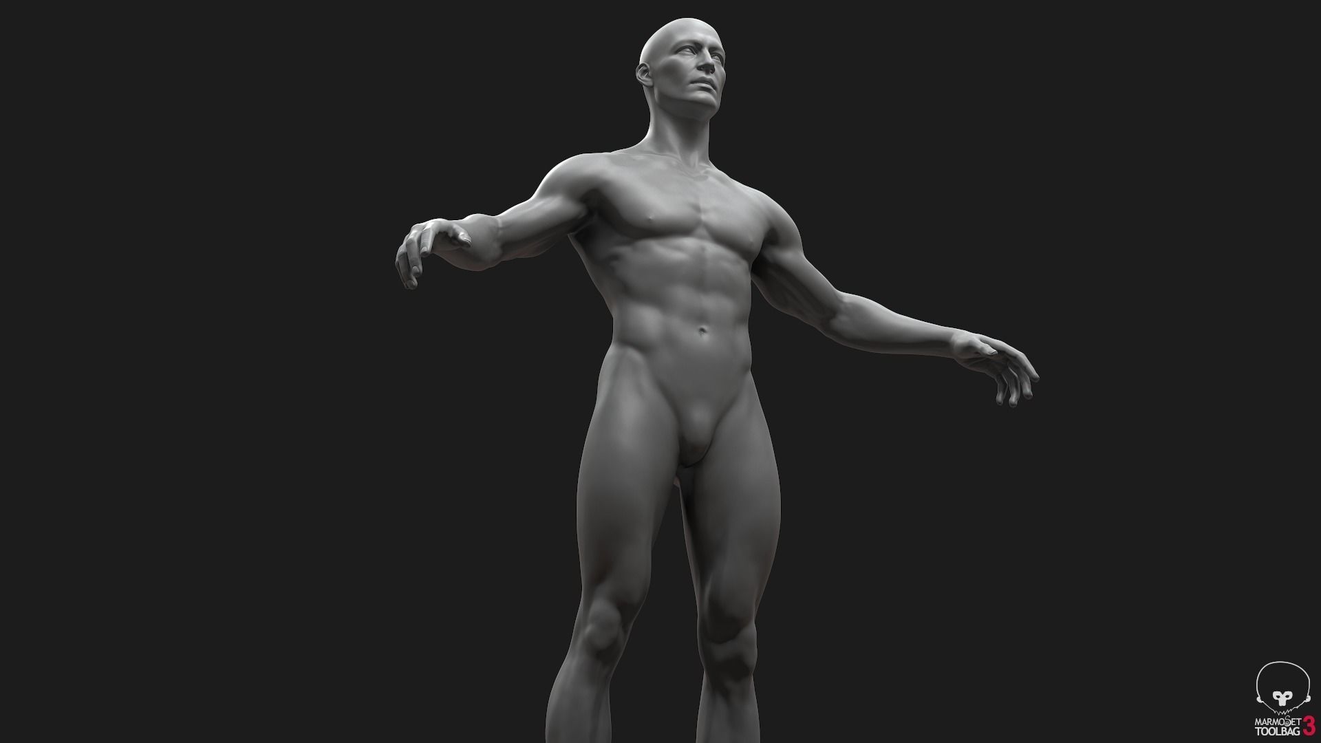 Men Basemeshes Pack 3D Model Collection_11