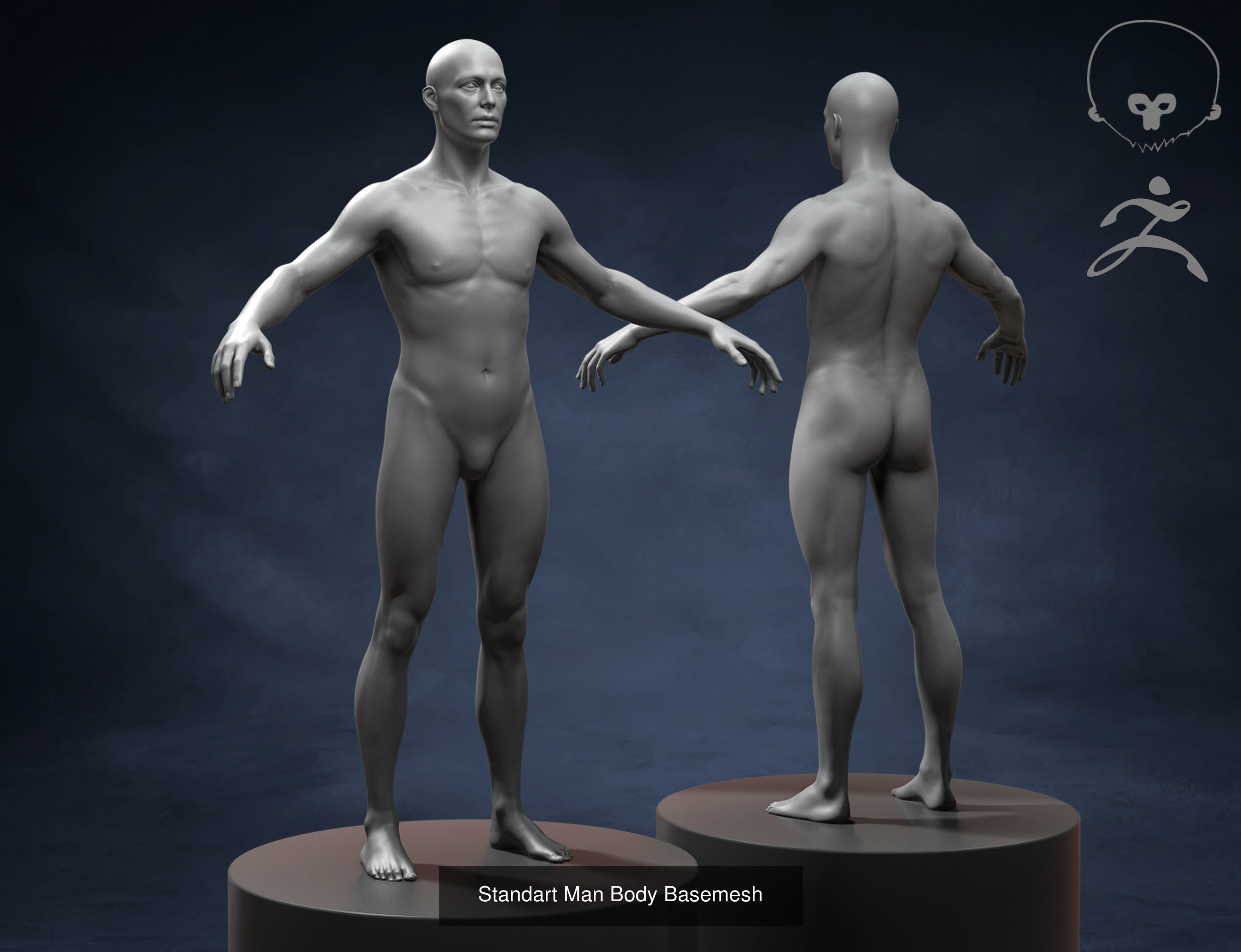 Men Basemeshes Pack 3D Model Collection_2