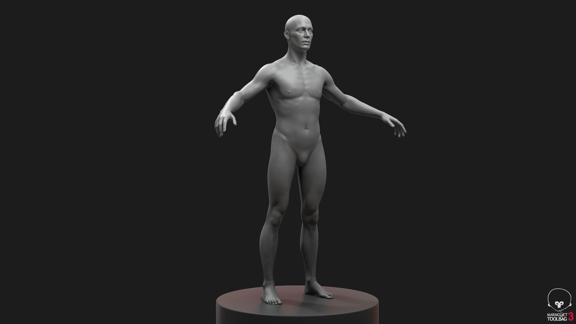 Men Basemeshes Pack 3D Model Collection_21