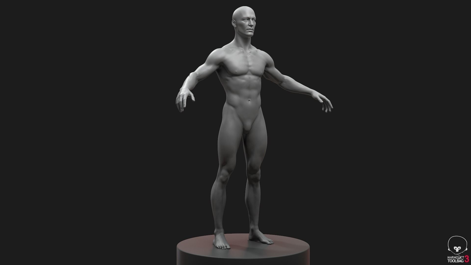 Men Basemeshes Pack 3D Model Collection_6