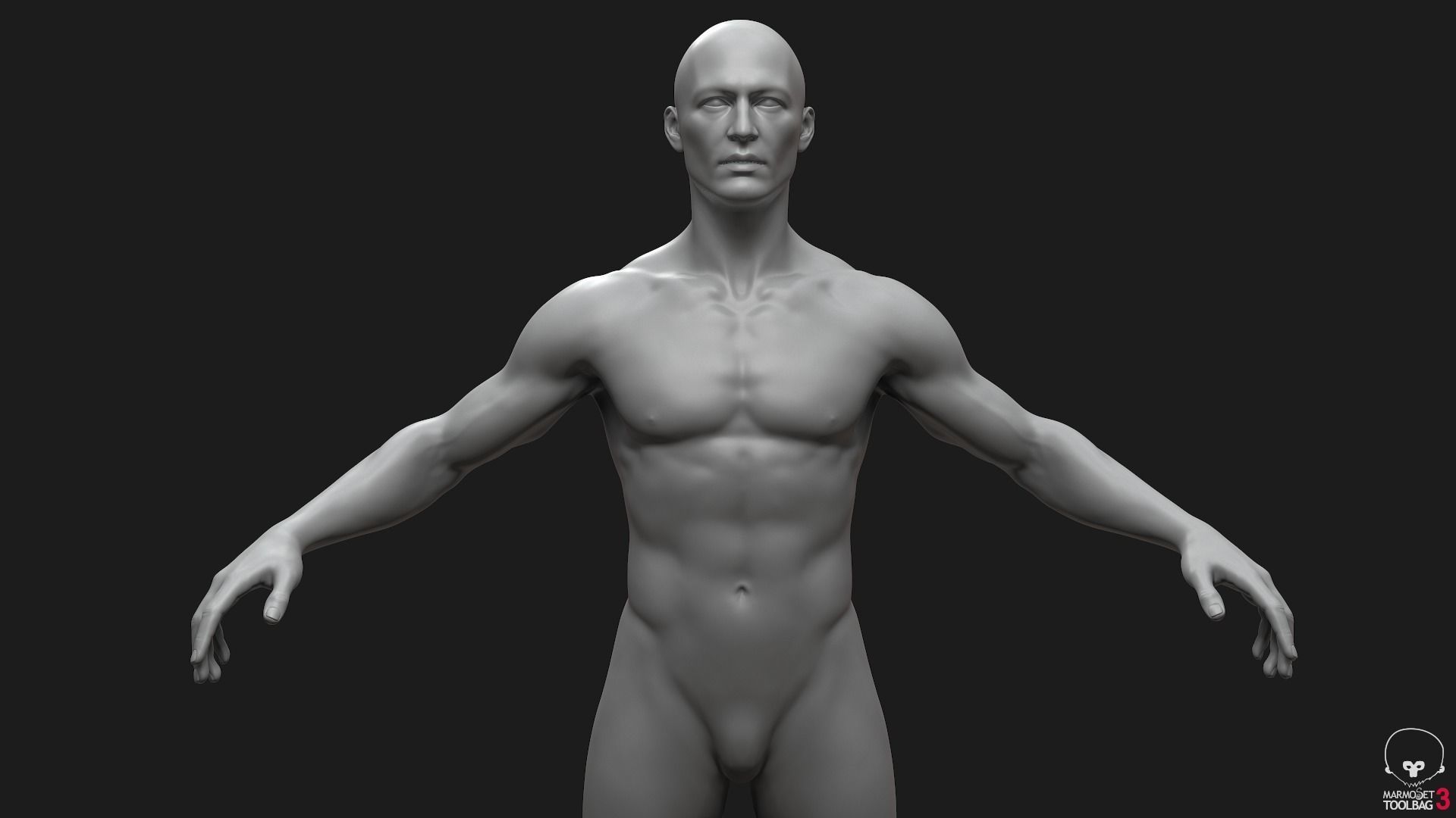 Men Basemeshes Pack 3D Model Collection_12