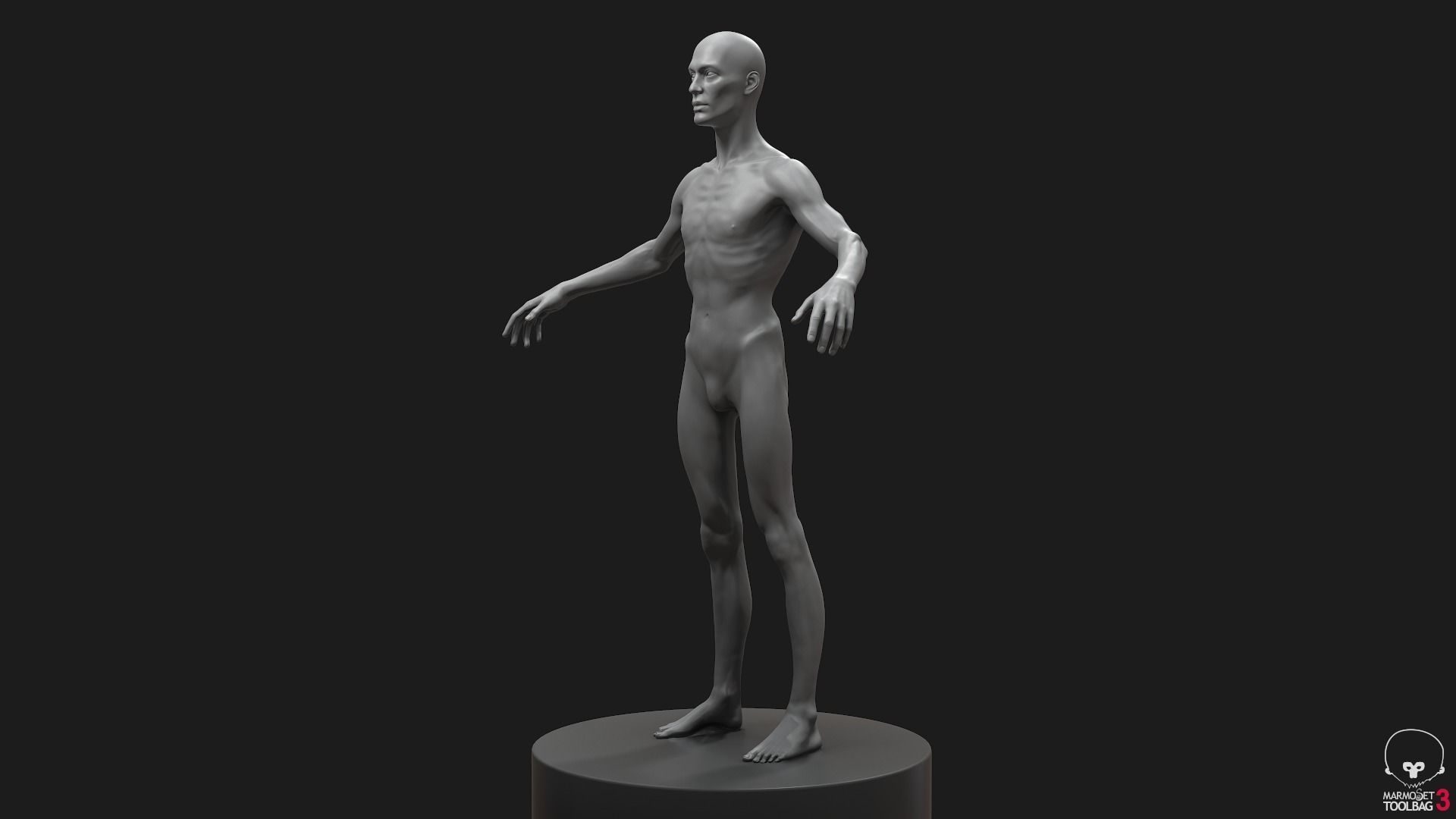 Men Basemeshes Pack 3D Model Collection_49