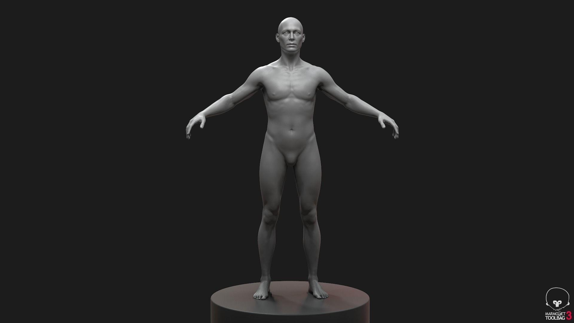 Men Basemeshes Pack 3D Model Collection_22