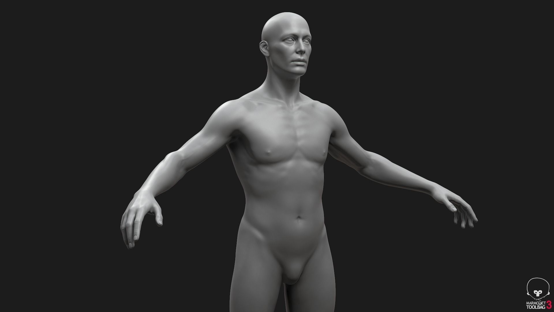 Men Basemeshes Pack 3D Model Collection_18