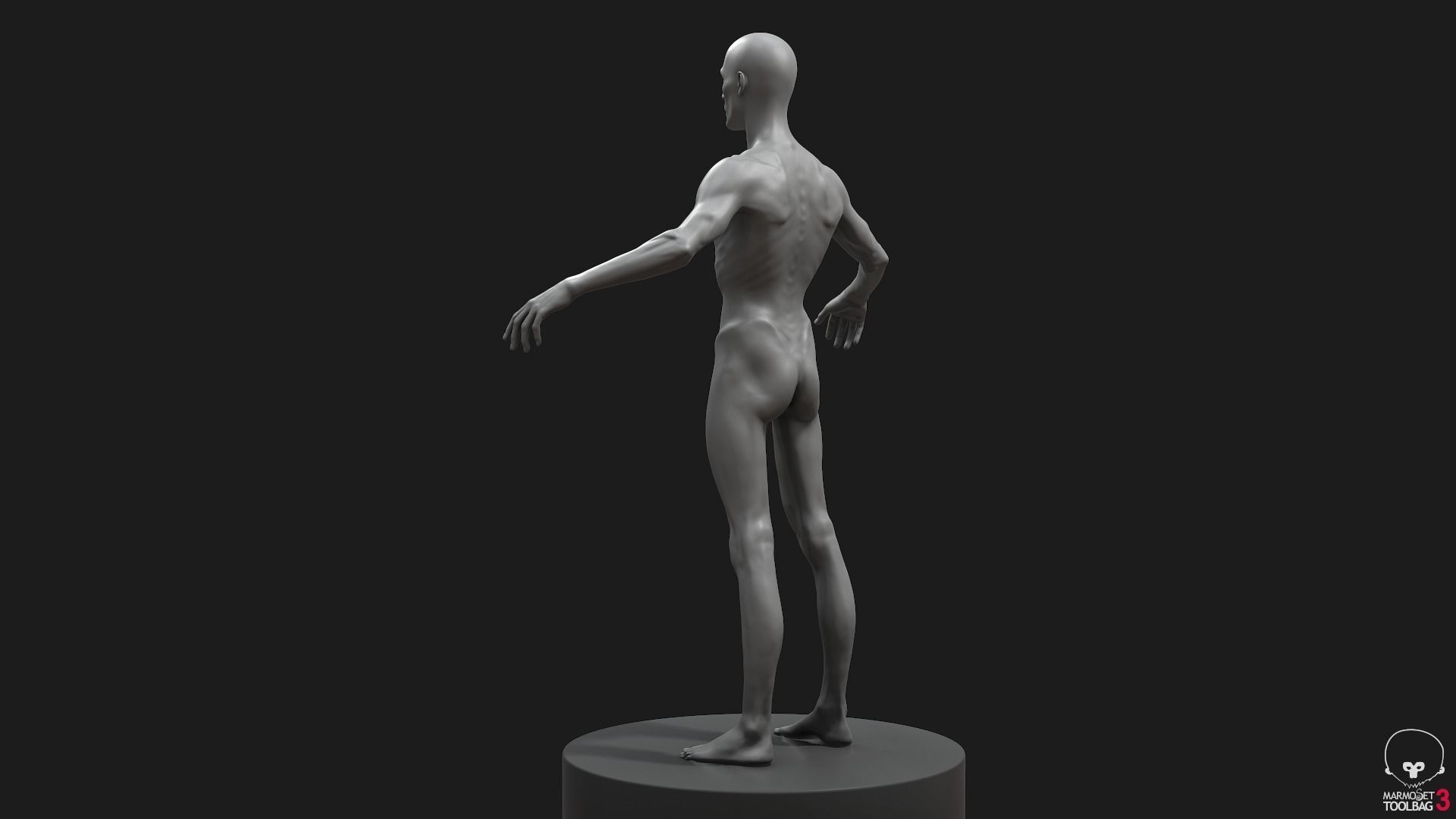 Men Basemeshes Pack 3D Model Collection_50