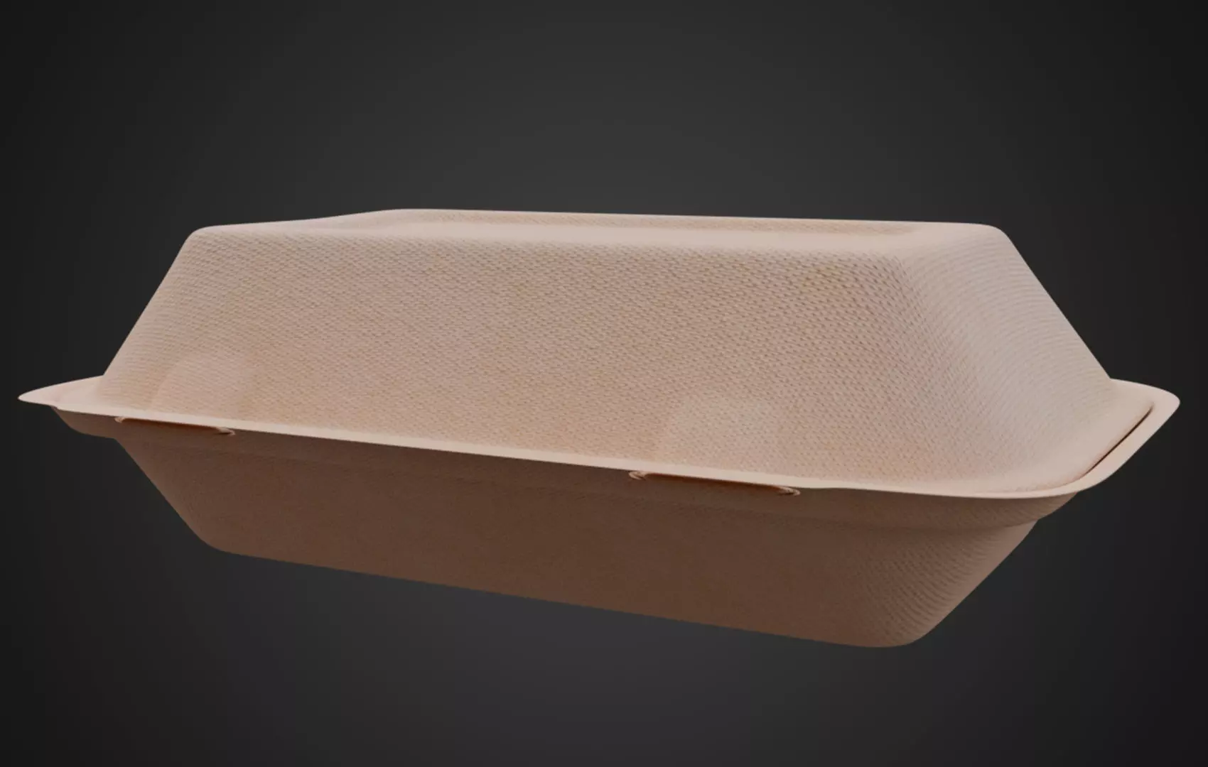 Box Cardboard paper - Large Disposable Container 3D model_0