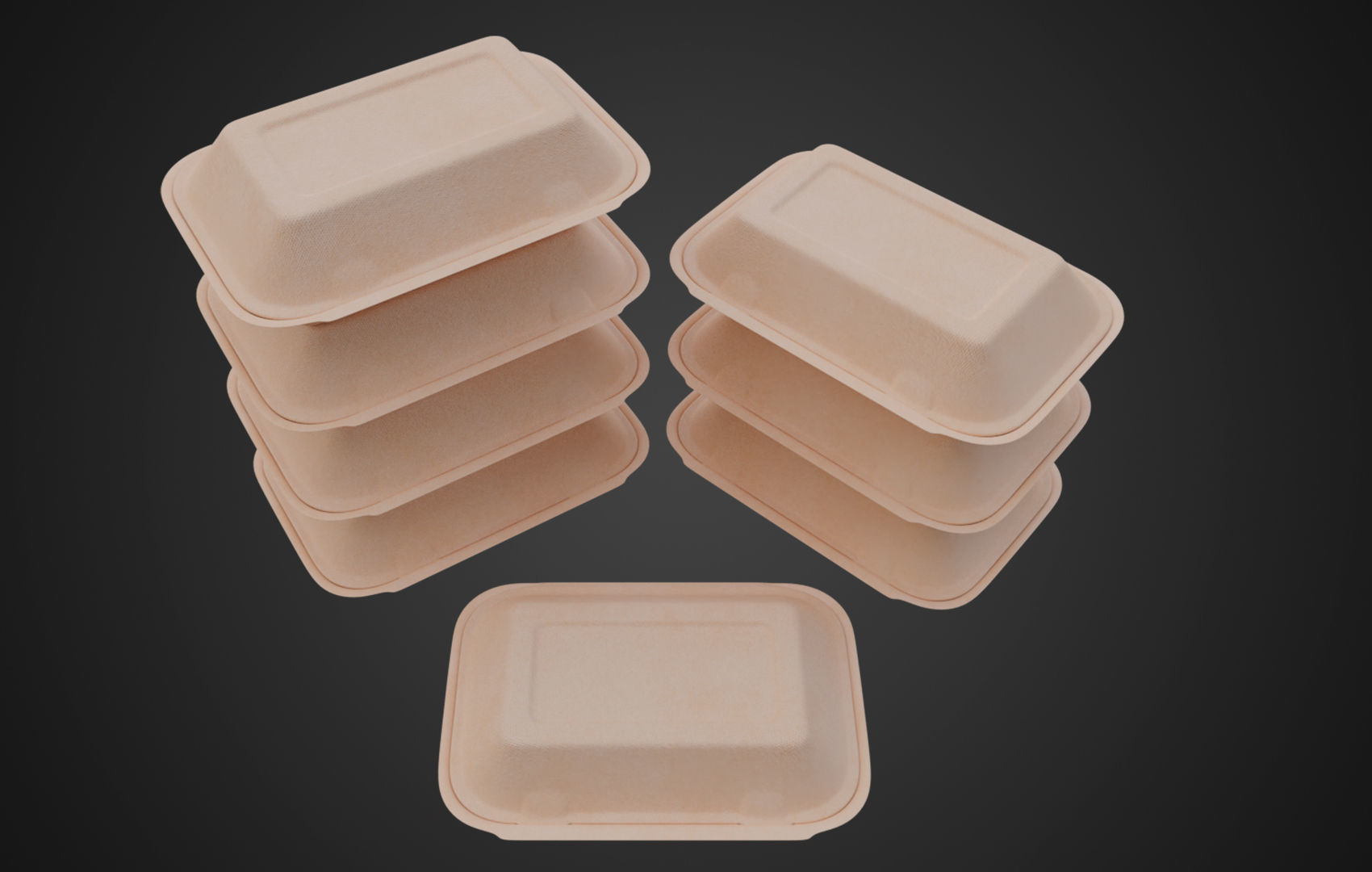 Box Cardboard paper - Large Disposable Container 3D model_13