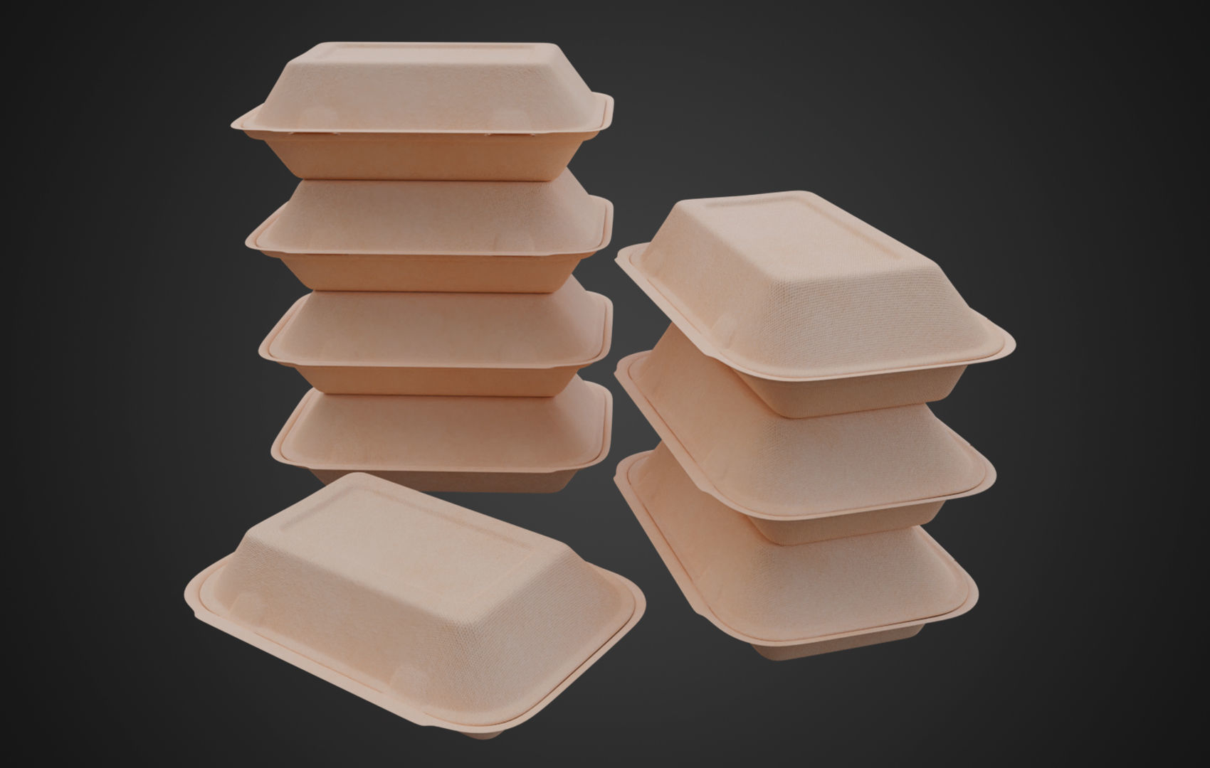 Box Cardboard paper - Large Disposable Container 3D model_5