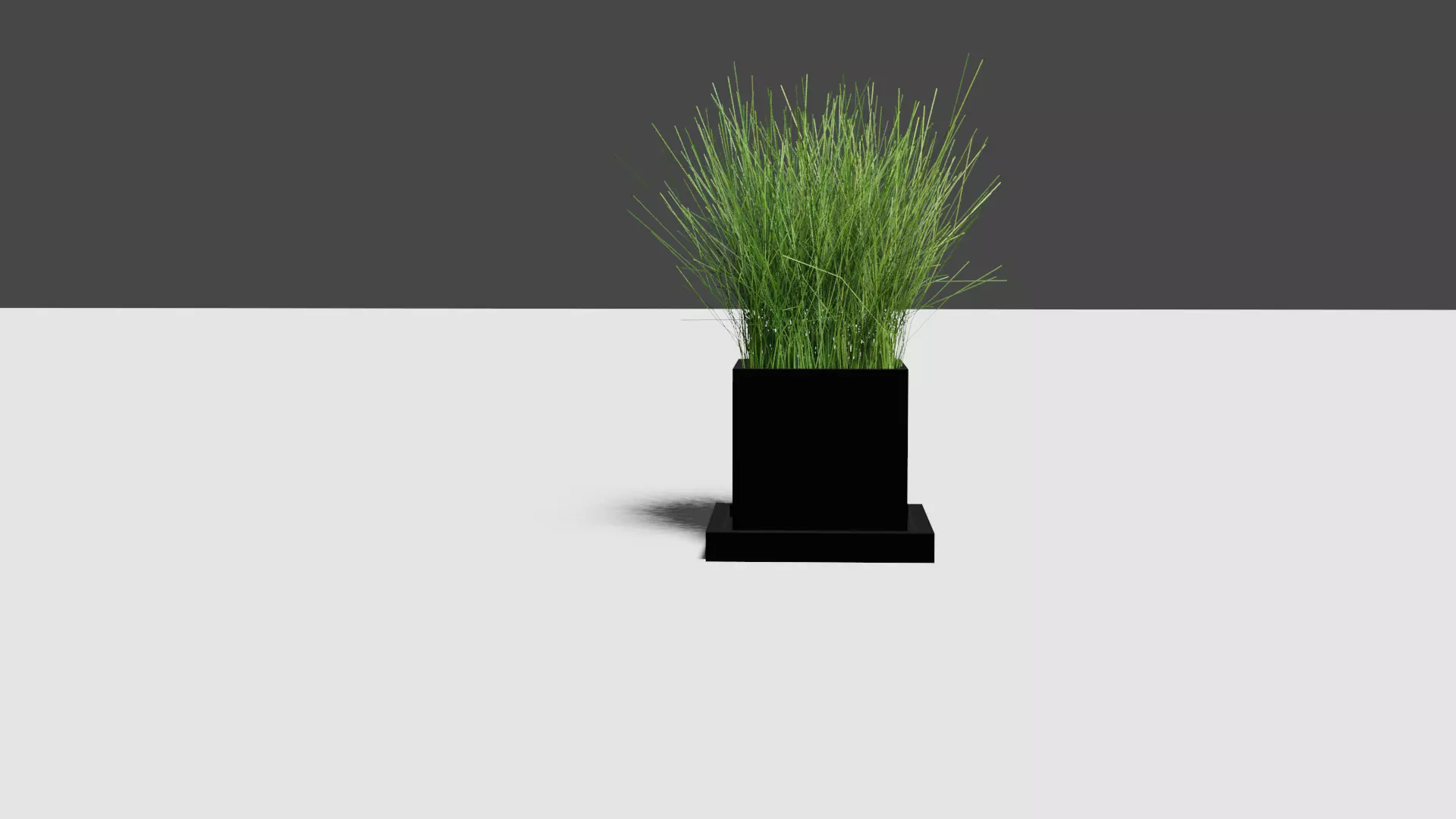 3d Plant Model grass in pot 3D model