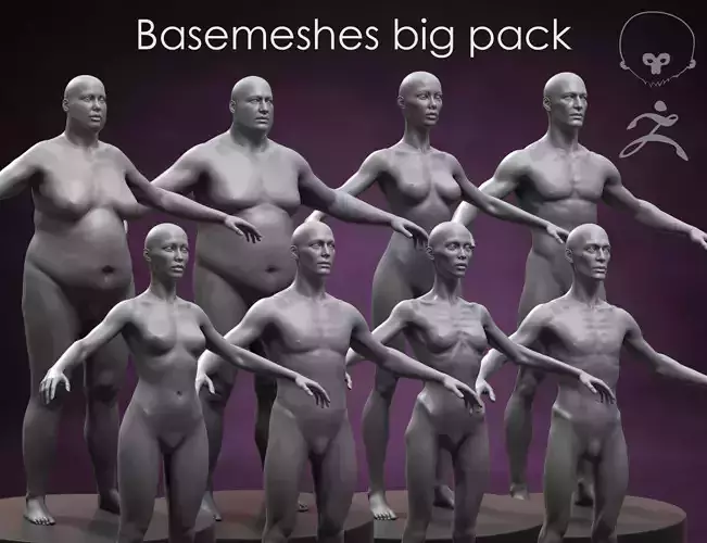 Basemeshes big pack 3D Model Collection