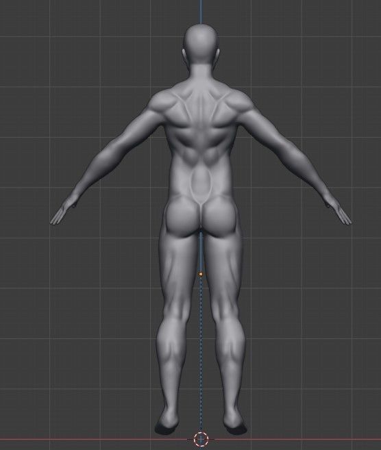 full man muscles  3D model_2