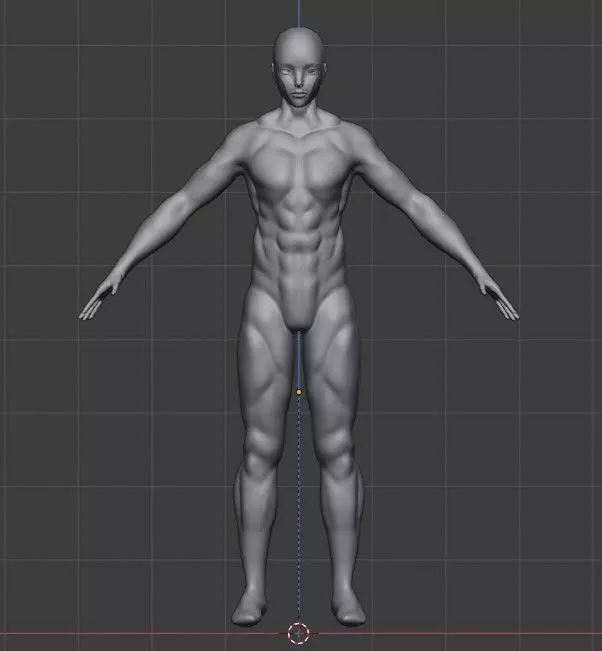 full man muscles  3D model_0